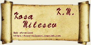 Kosa Milešev vizit kartica